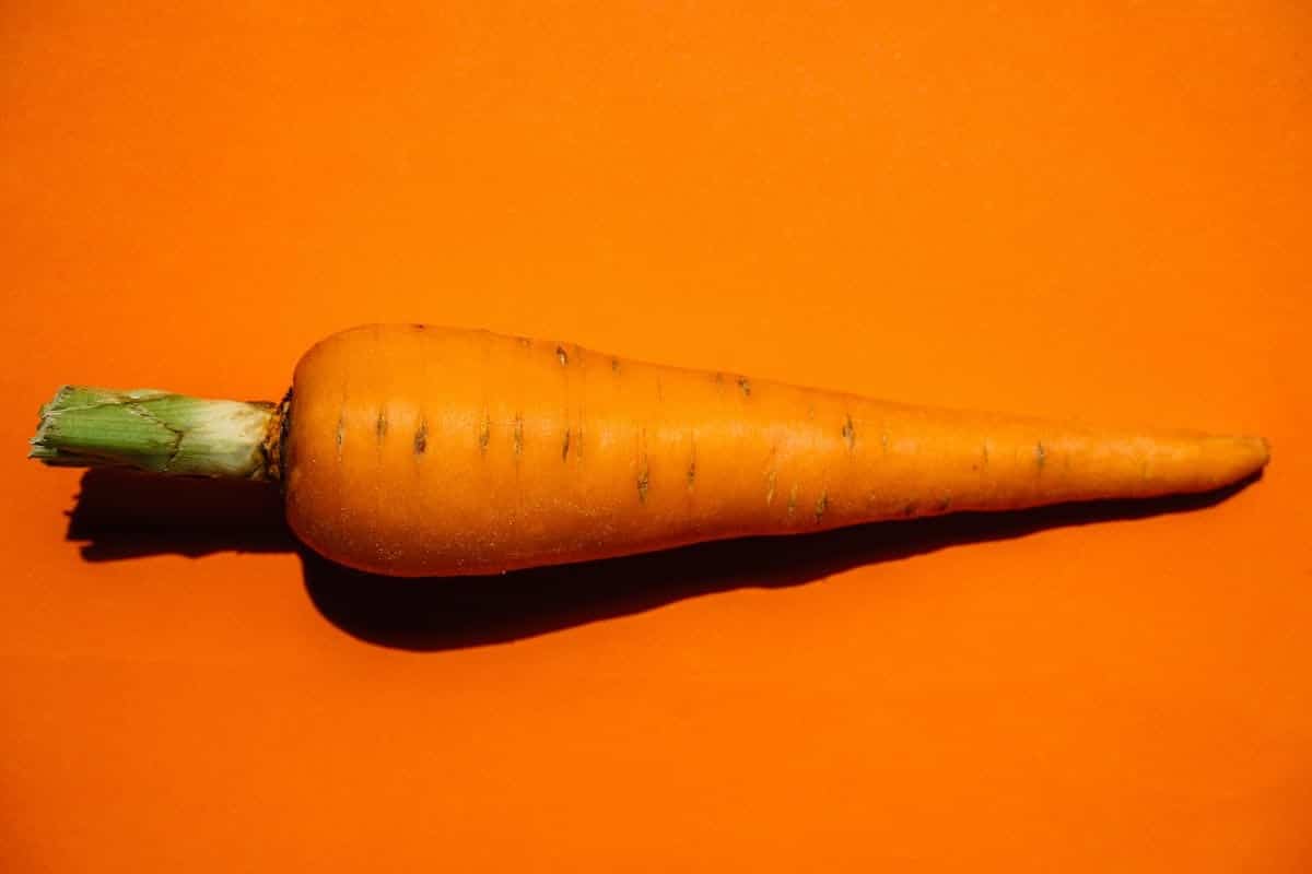 légumes anciens