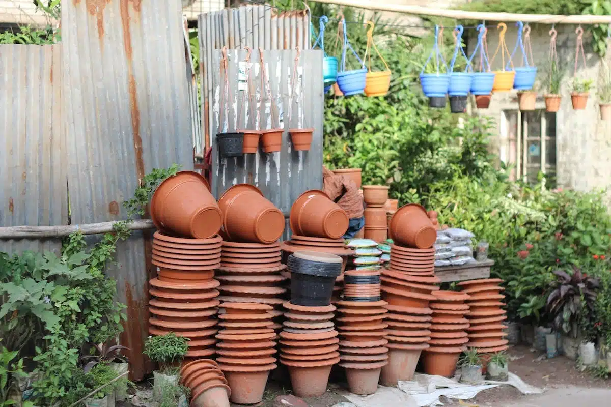 jardin pots