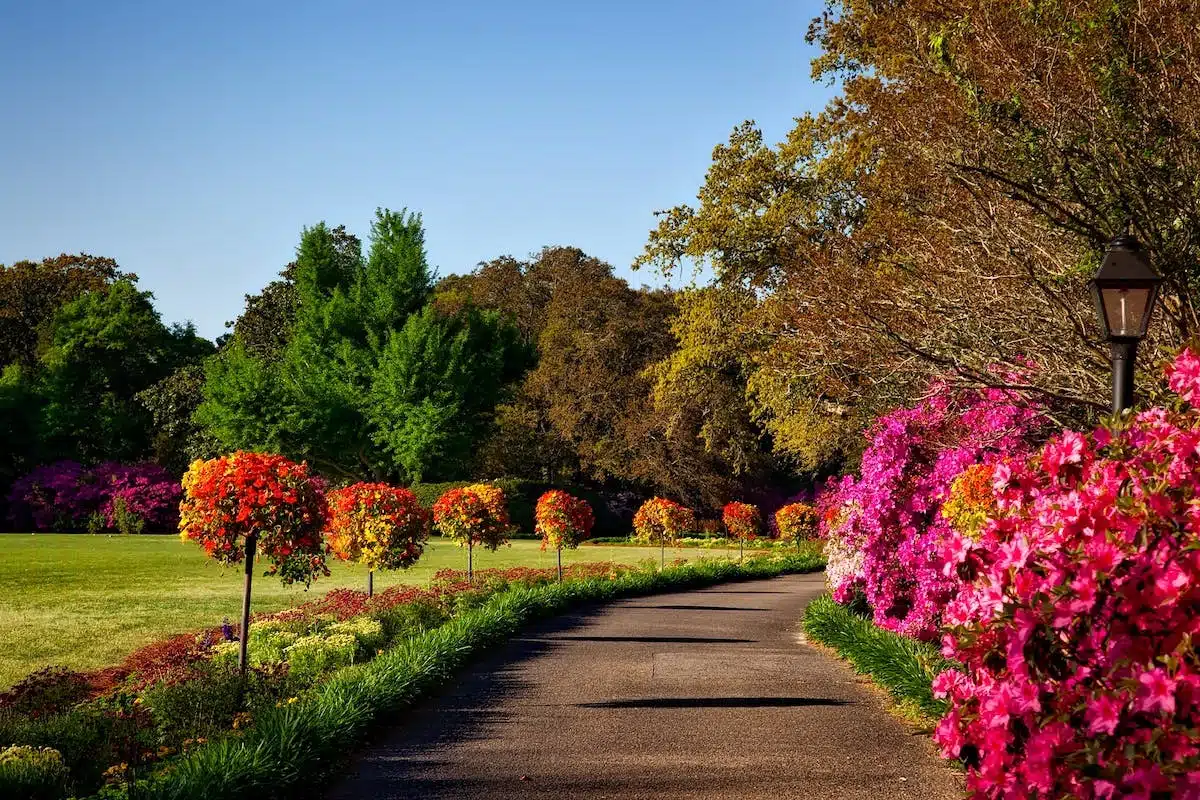 aménagement jardin