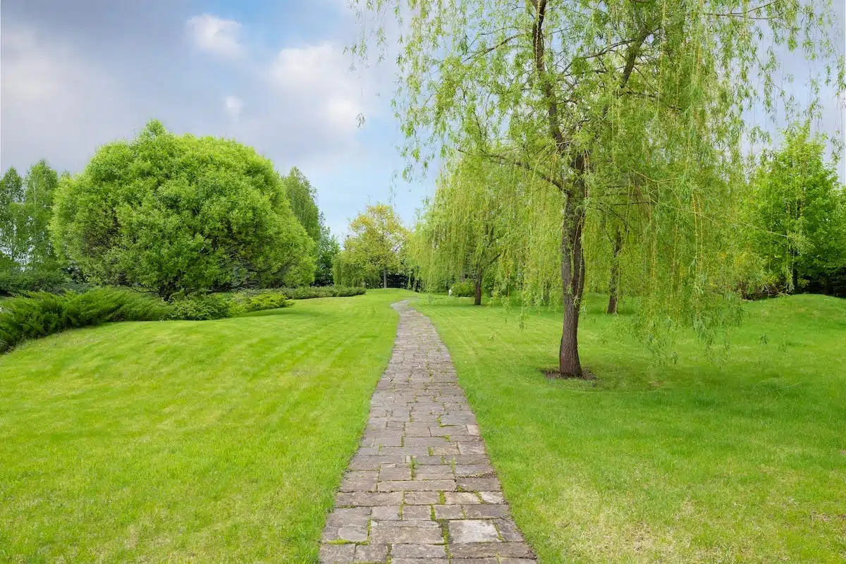 jardin écologique