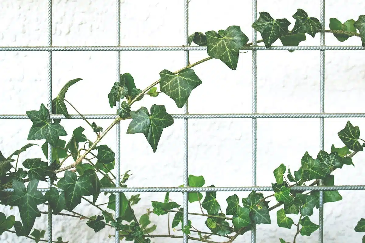 jardin innovant