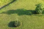 green grass field during daytime