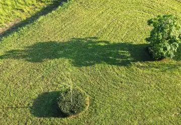 green grass field during daytime