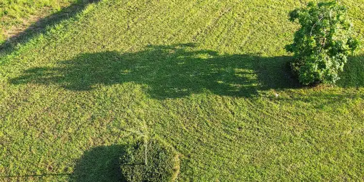 green grass field during daytime