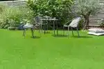 Comment obtenir un gazon parfaitement vert et dense pour votre jardin