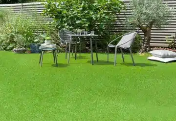 Comment obtenir un gazon parfaitement vert et dense pour votre jardin
