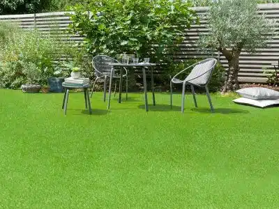 Comment obtenir un gazon parfaitement vert et dense pour votre jardin