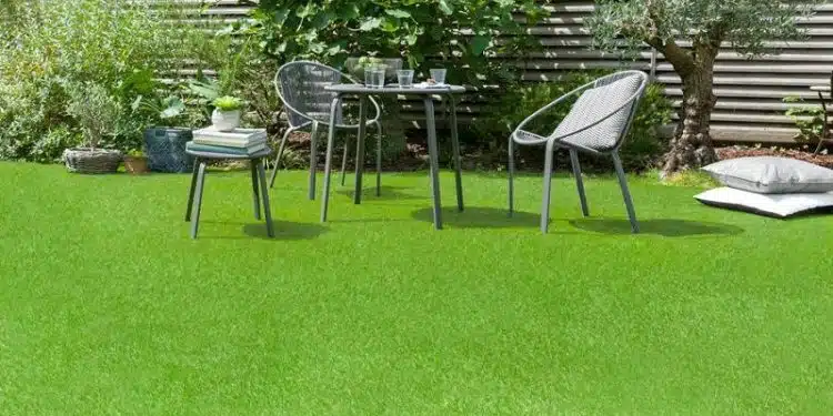 Comment obtenir un gazon parfaitement vert et dense pour votre jardin