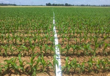 En quoi consiste la technique d’irrigation goutte à goutte