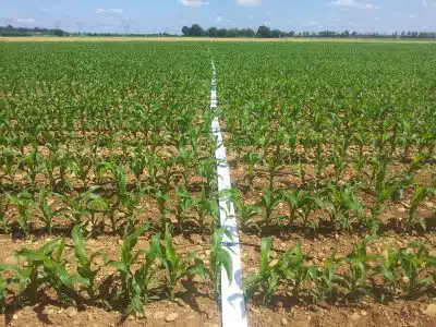 En quoi consiste la technique d’irrigation goutte à goutte