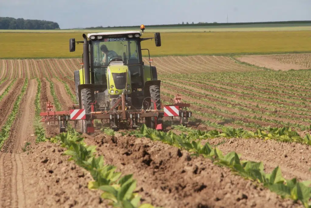 Agriculture France