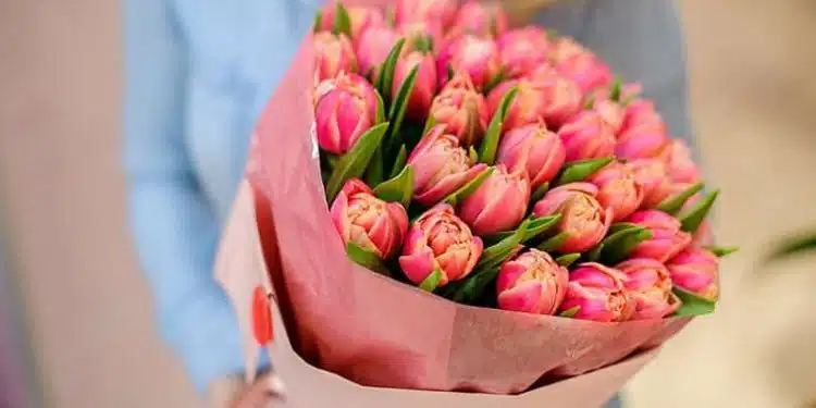 Quelles fleurs offrir pour la saint valentin