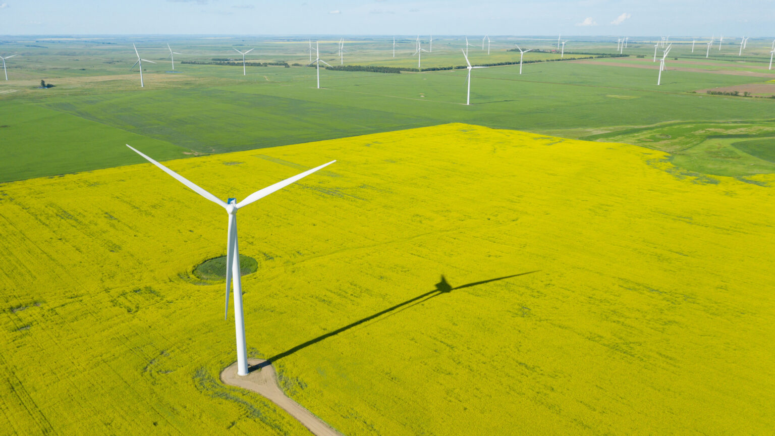 Éolienne agricole : un levier d'autonomie énergétique pour les exploitations