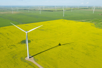 Éolienne agricole : un levier d'autonomie énergétique pour les exploitations