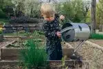 Quelles plantes aromatiques mettre dans son carré potager ?