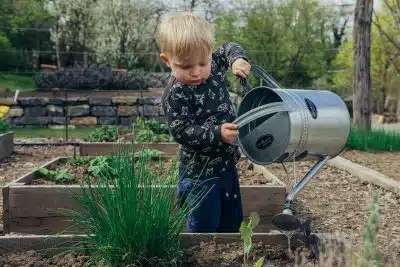 Quelles plantes aromatiques mettre dans son carré potager ?