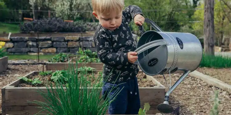 Quelles plantes aromatiques mettre dans son carré potager ?