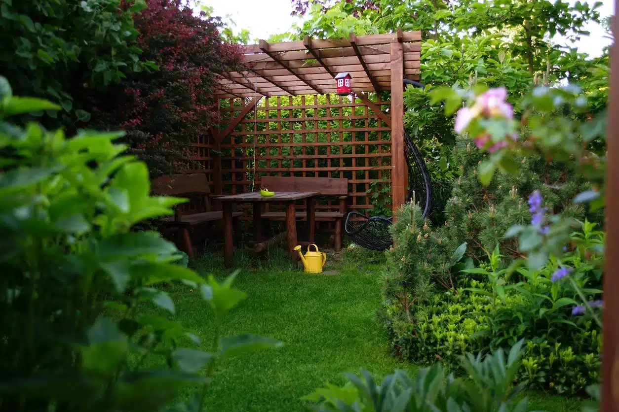  pergola en bois rustique