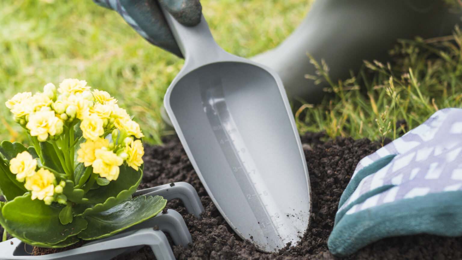 Jardinier à domicile : tarifs, statuts et avantages fiscaux en 2026