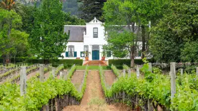 La vente de vin par les agriculteurs : l'intérêt de posséder un logiciel spécialisé