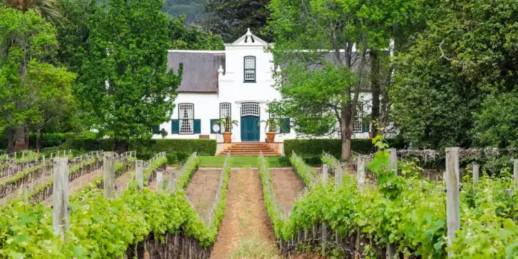 La vente de vin par les agriculteurs : l'intérêt de posséder un logiciel spécialisé