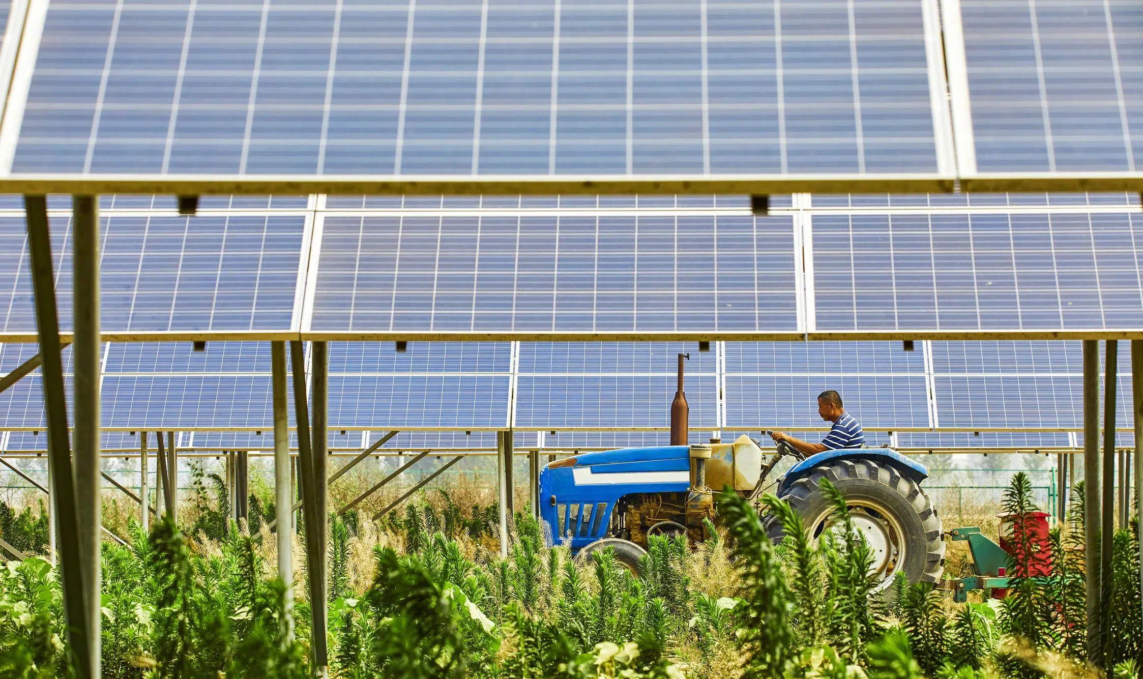 Concevez des hangars photovoltaïques agricoles 